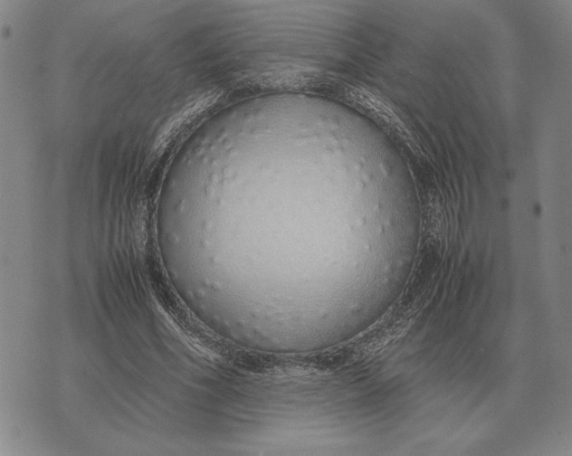 X0000071830586200607211804