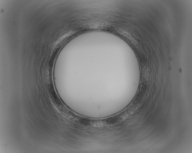 X0000071830587200607211804