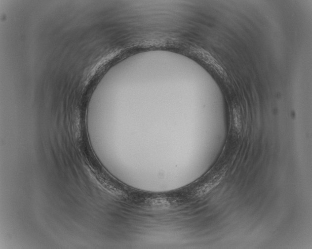 X0000071830588200607211804