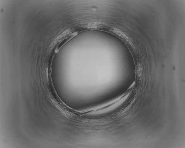 X0000071830589200607211804