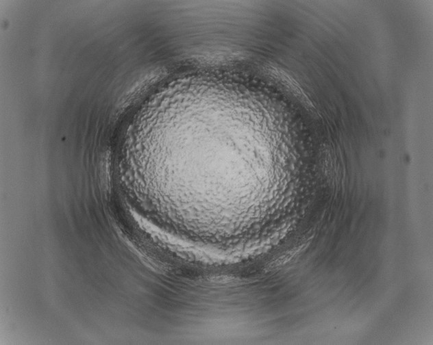 X0000071830590200607211804