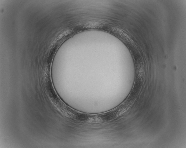 X0000071830591200607211804