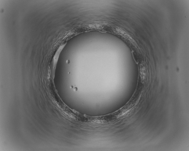 X0000071830593200607211804