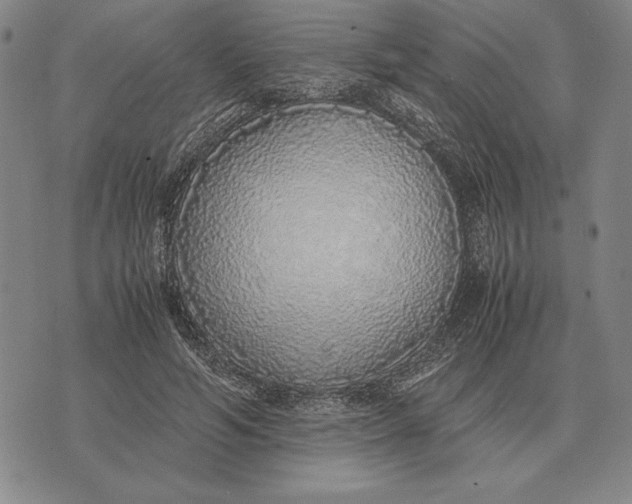 X0000071830594200607211804