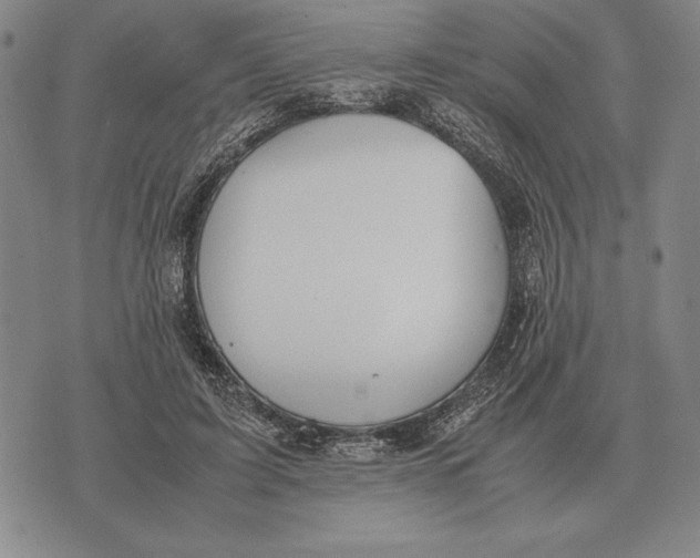 X0000071830595200607211803