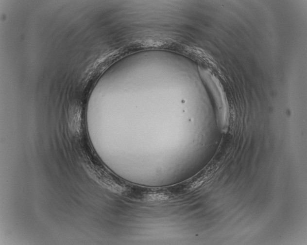 X0000071830596200607211803