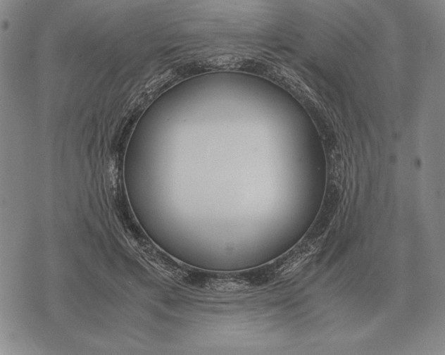 X0000071830597200607211803