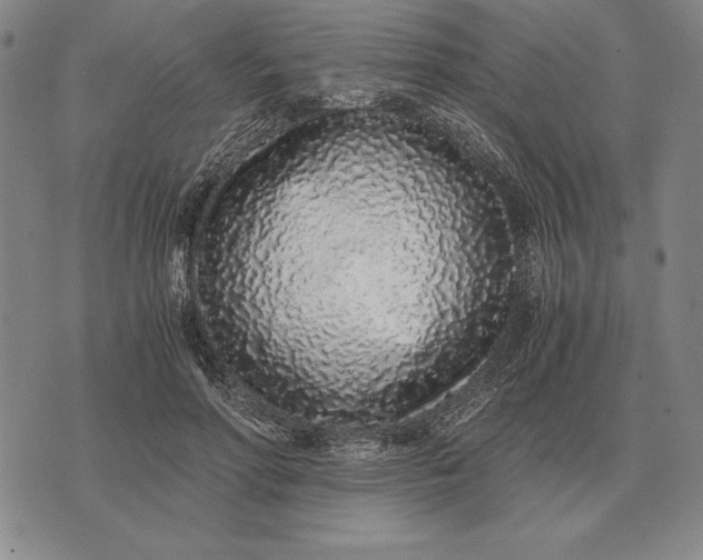 X0000071830598200607211803