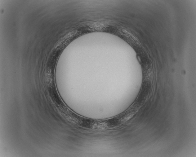 X0000071830599200607211803