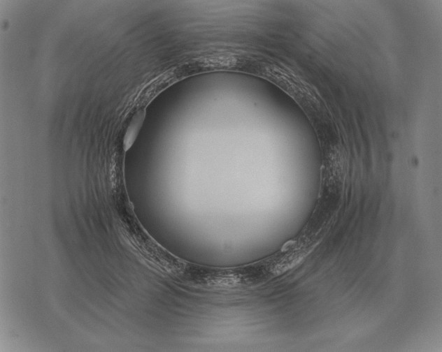 X0000071830600200607211803