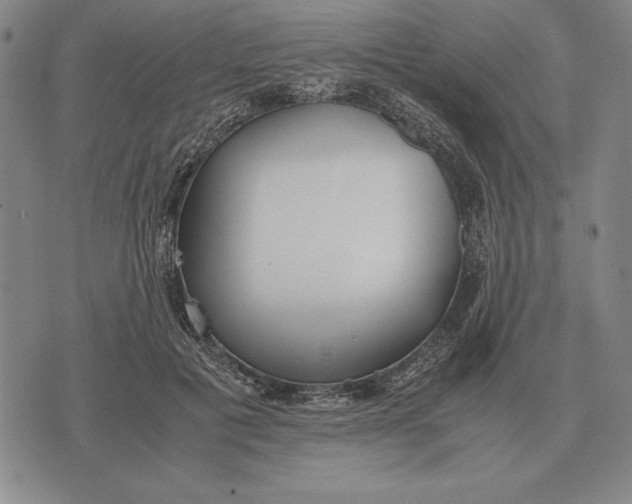 X0000071830601200607211803