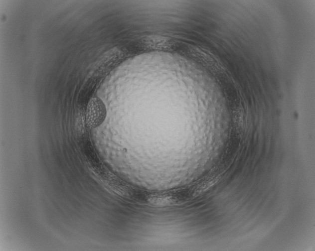 X0000071830602200607211803