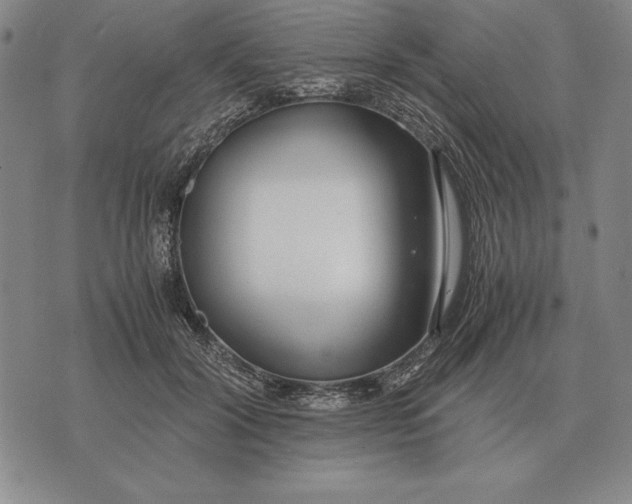 X0000071830604200607211803