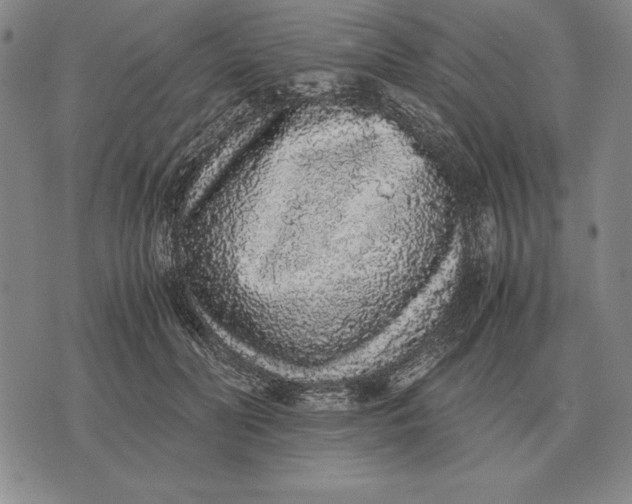 X0000071830606200607211803