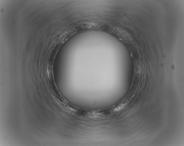 X0000071830607200607211803