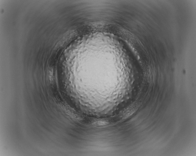 X0000071830610200607211803