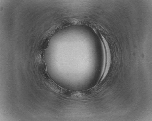 X0000071830611200607211803