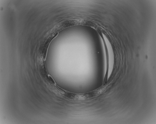 X0000071830613200607211803