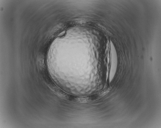 X0000071830615200607211803