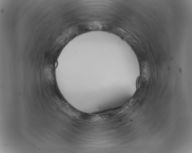 X0000071830616200607211803