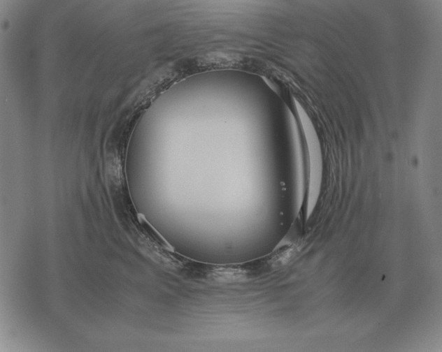 X0000071830617200607211803