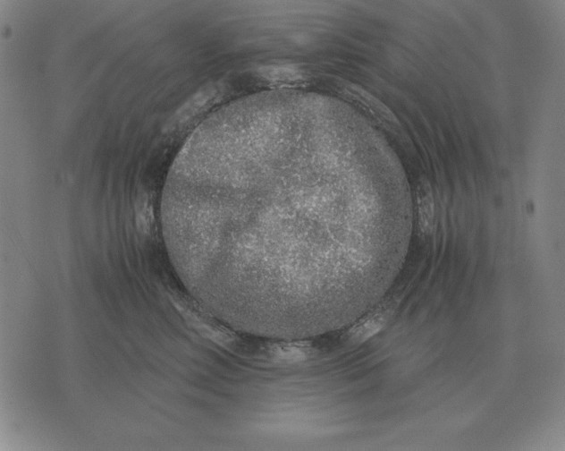 X0000071830618200607211803