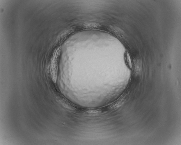 X0000071830619200607211803