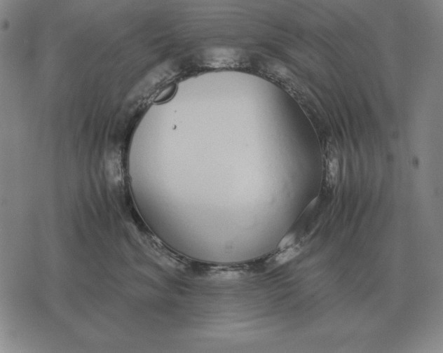 X0000071830620200607211803