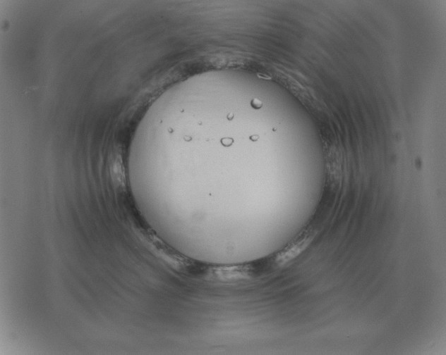 X0000071830622200607211803