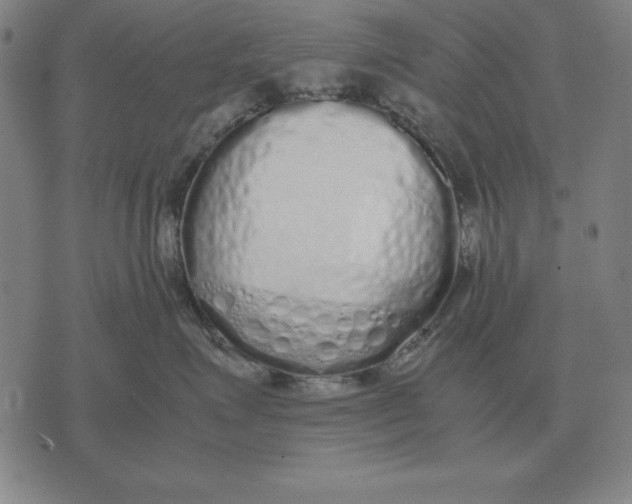 X0000071830623200607211803