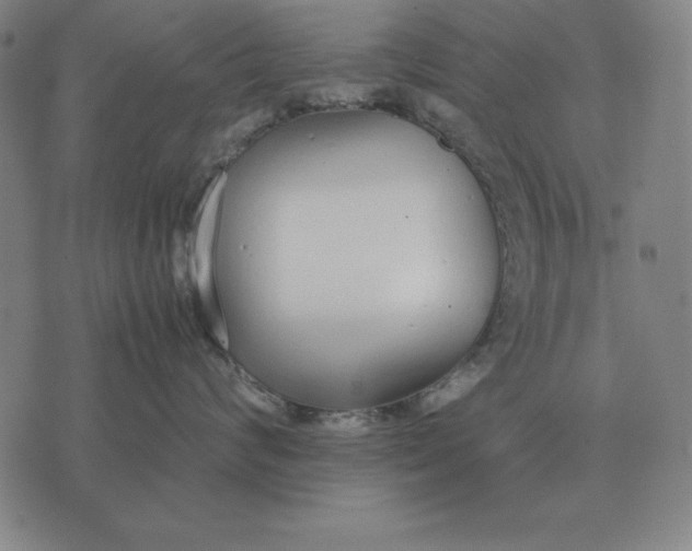 X0000071830624200607211803