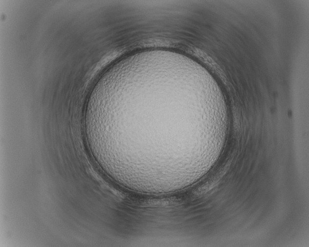 X0000071830625200607211802