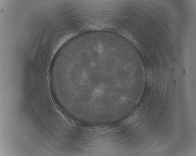 X0000071830626200607211802