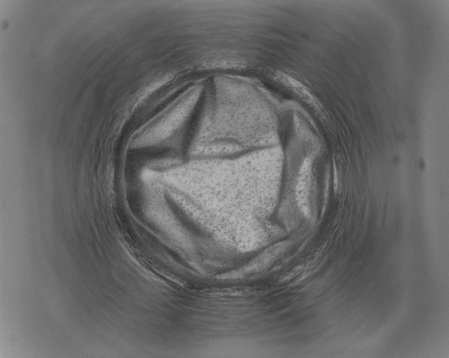 X0000071830627200607211802