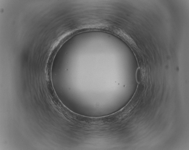 X0000071830628200607211802