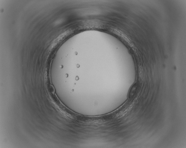 X0000071830629200607211802