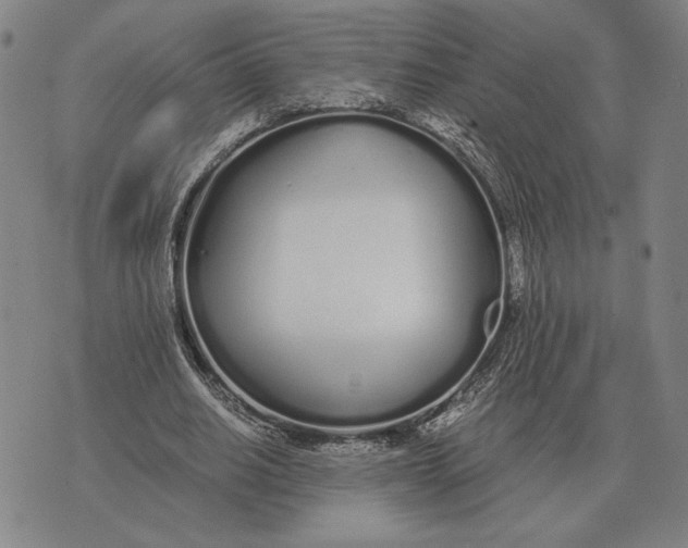 X0000071830630200607211802