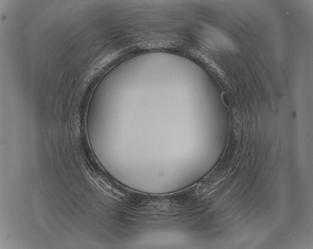 X0000071830631200607211802