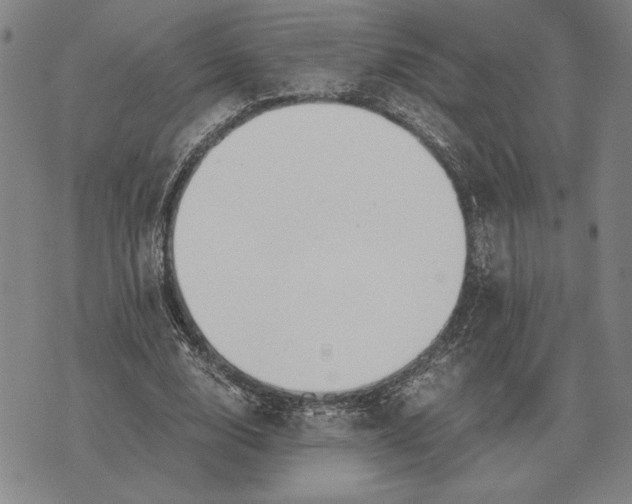 X0000071830632200607211802