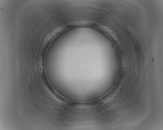 X0000071830633200607211802