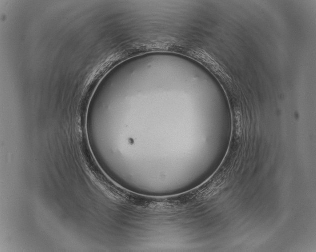 X0000071830634200607211802