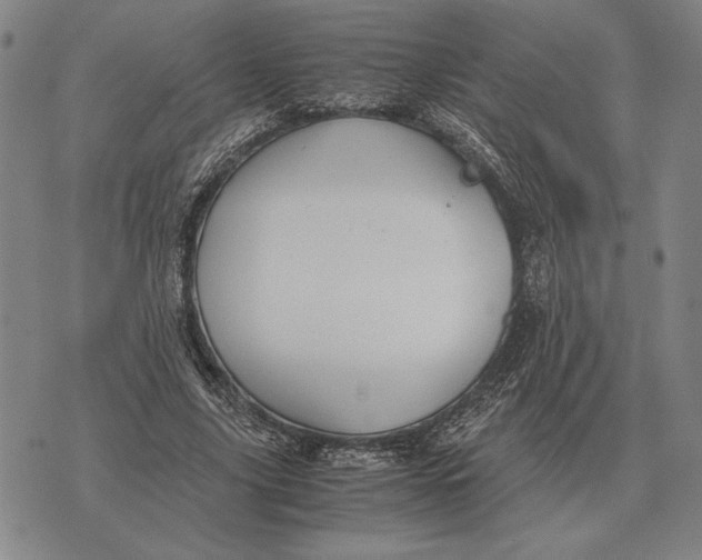 X0000071830635200607211802