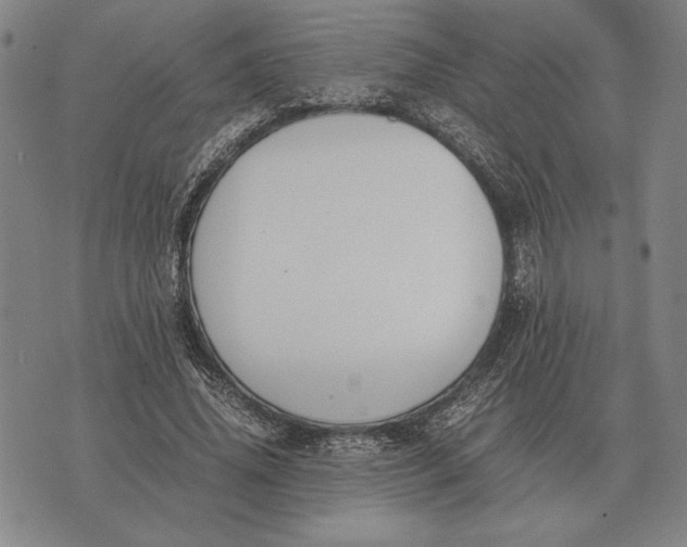 X0000071830636200607211802