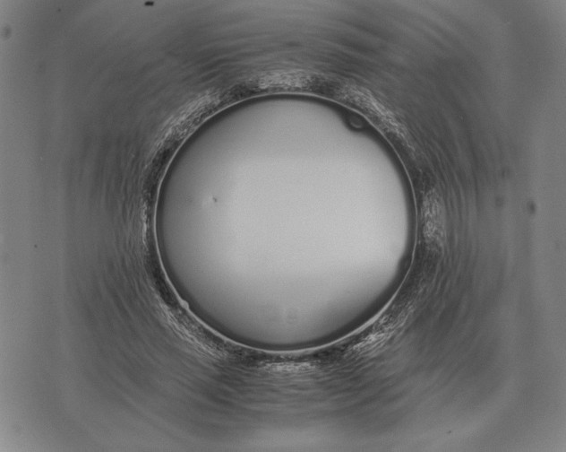 X0000071830637200607211802