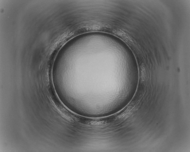 X0000071830638200607211802