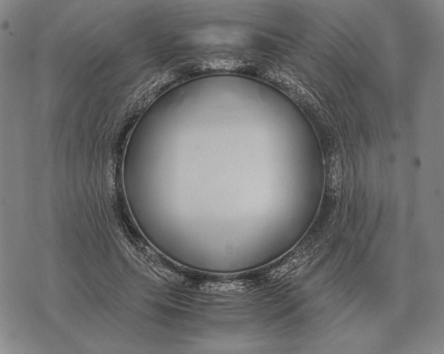 X0000071830639200607211802