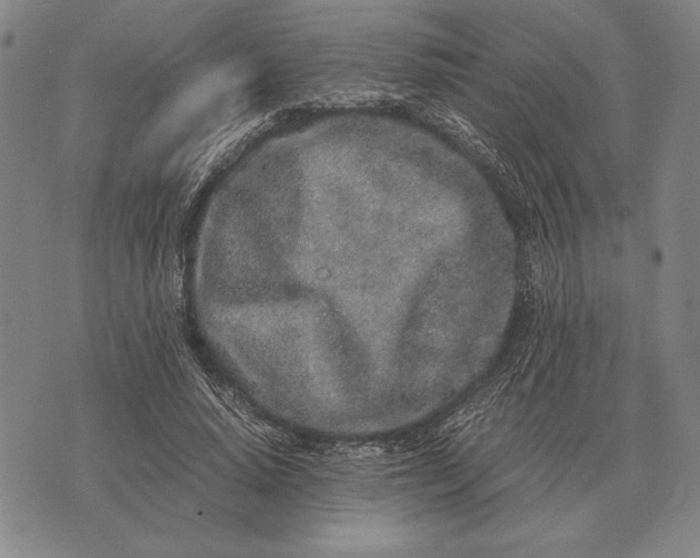 X0000071830640200607211802