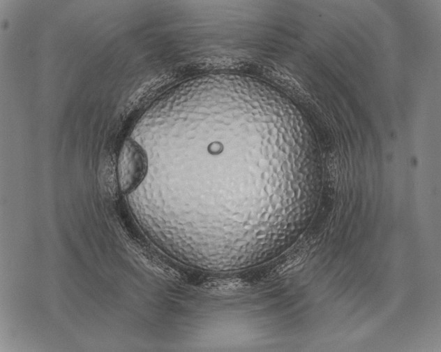 X0000071830642200607211803