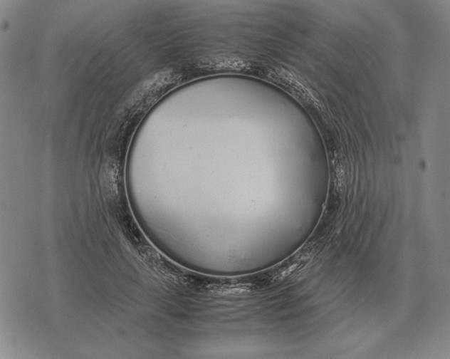 X0000071830643200607211803