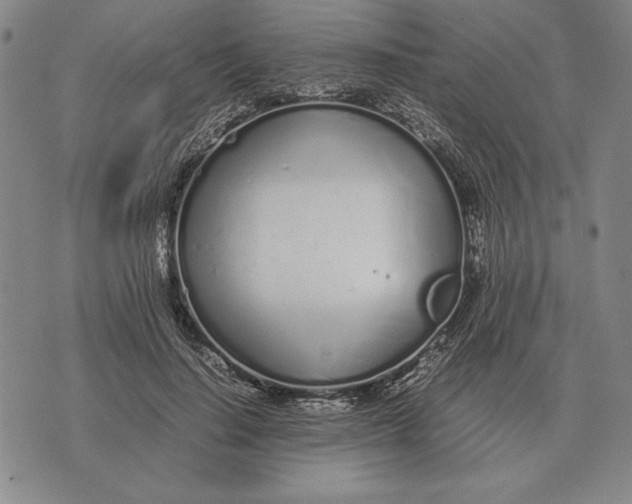 X0000071830644200607211803